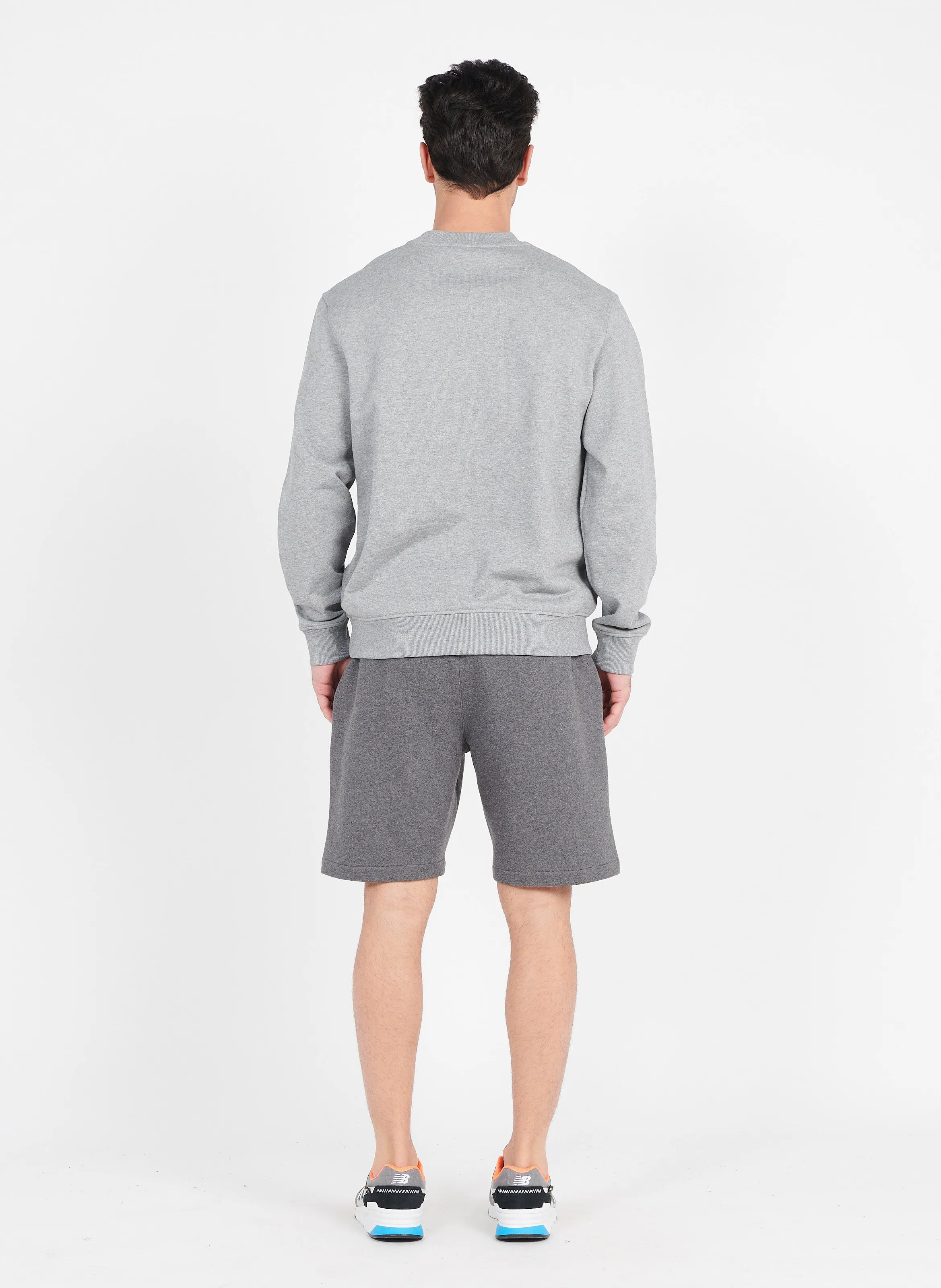 ISS22MSWE01 - Sudadera regular fit de algodón con cuello redondo en gris